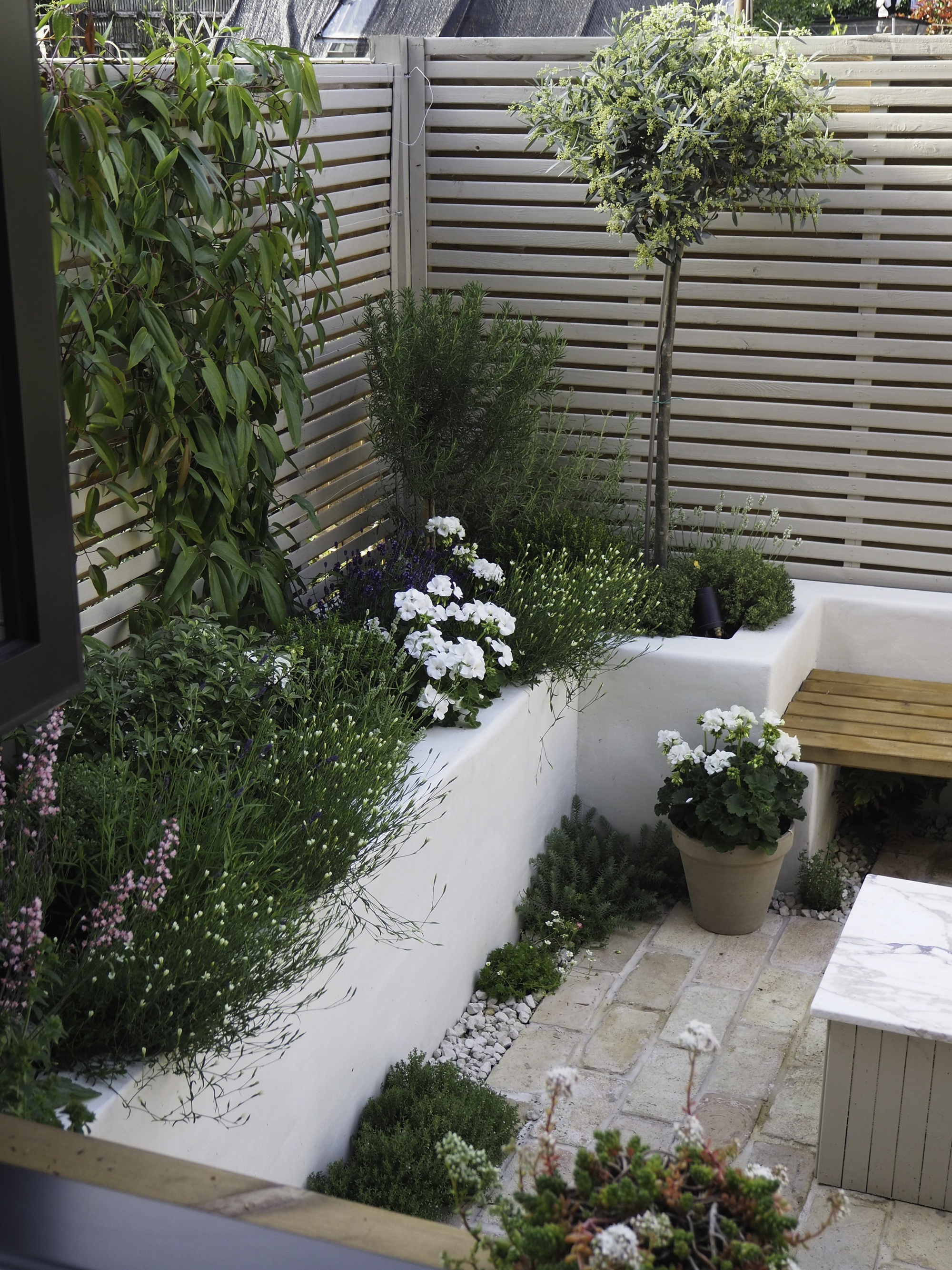 a garden with raised white rendered beds filled with plants