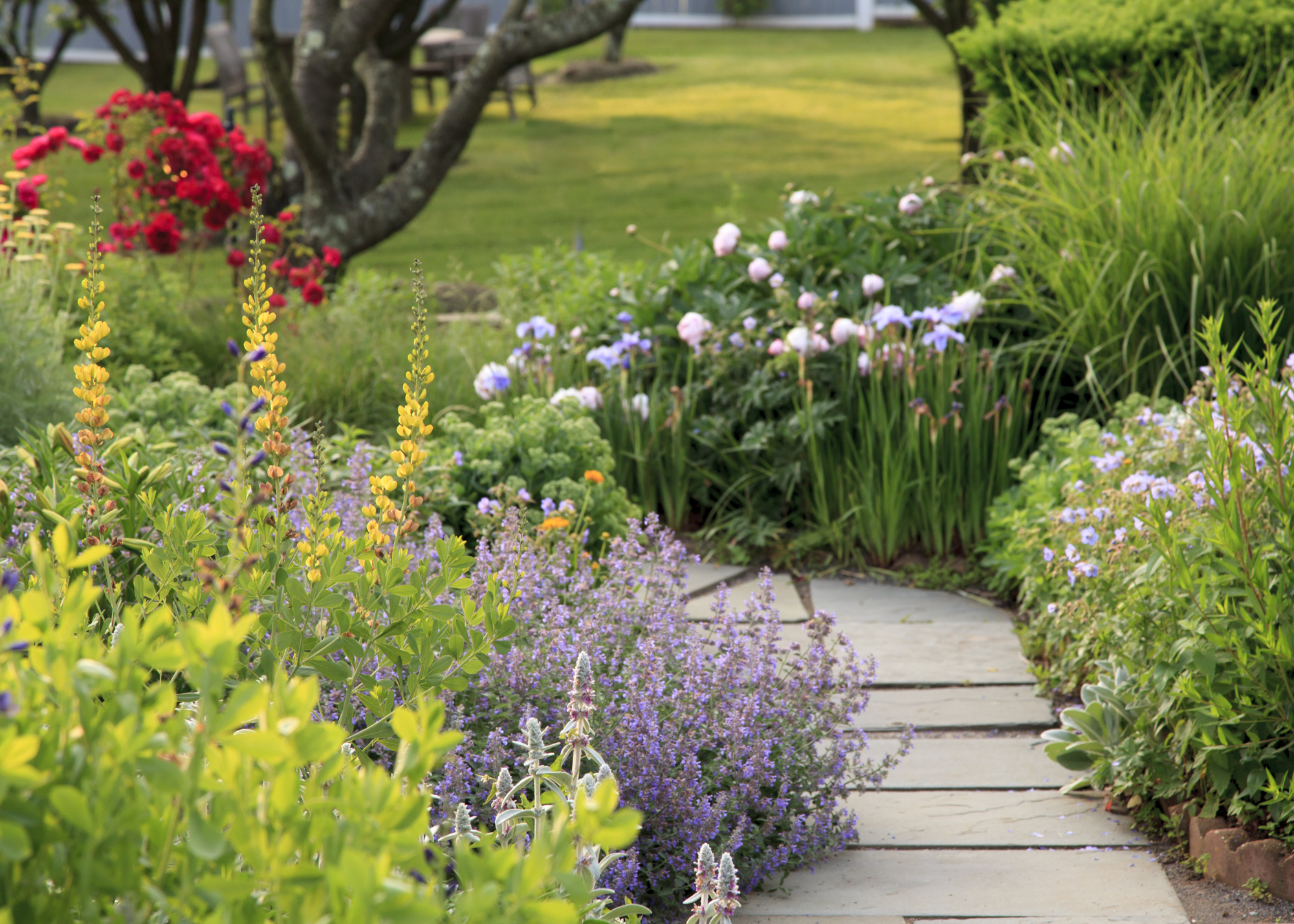 A garden path with lush grass and flowers