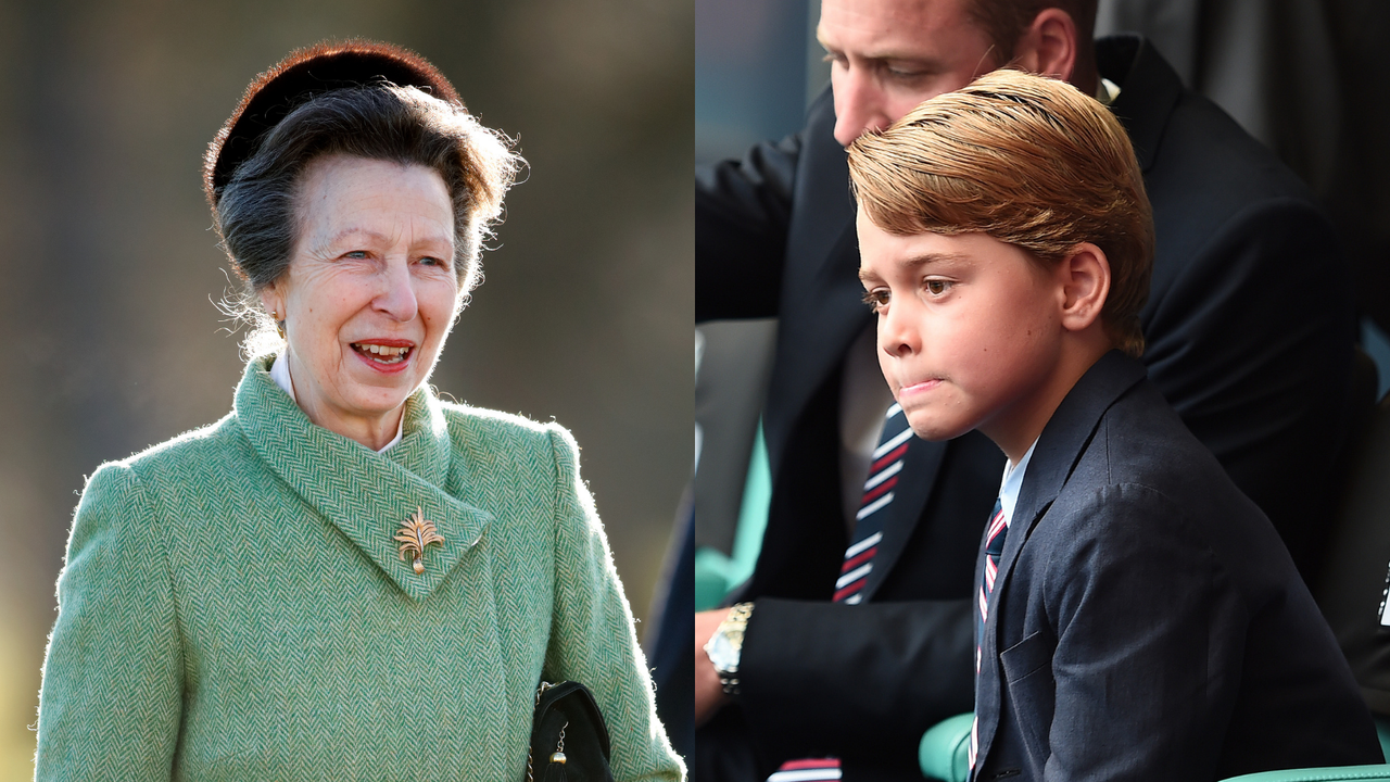 Princess Anne enjoys Prince George’s favorite pastime 