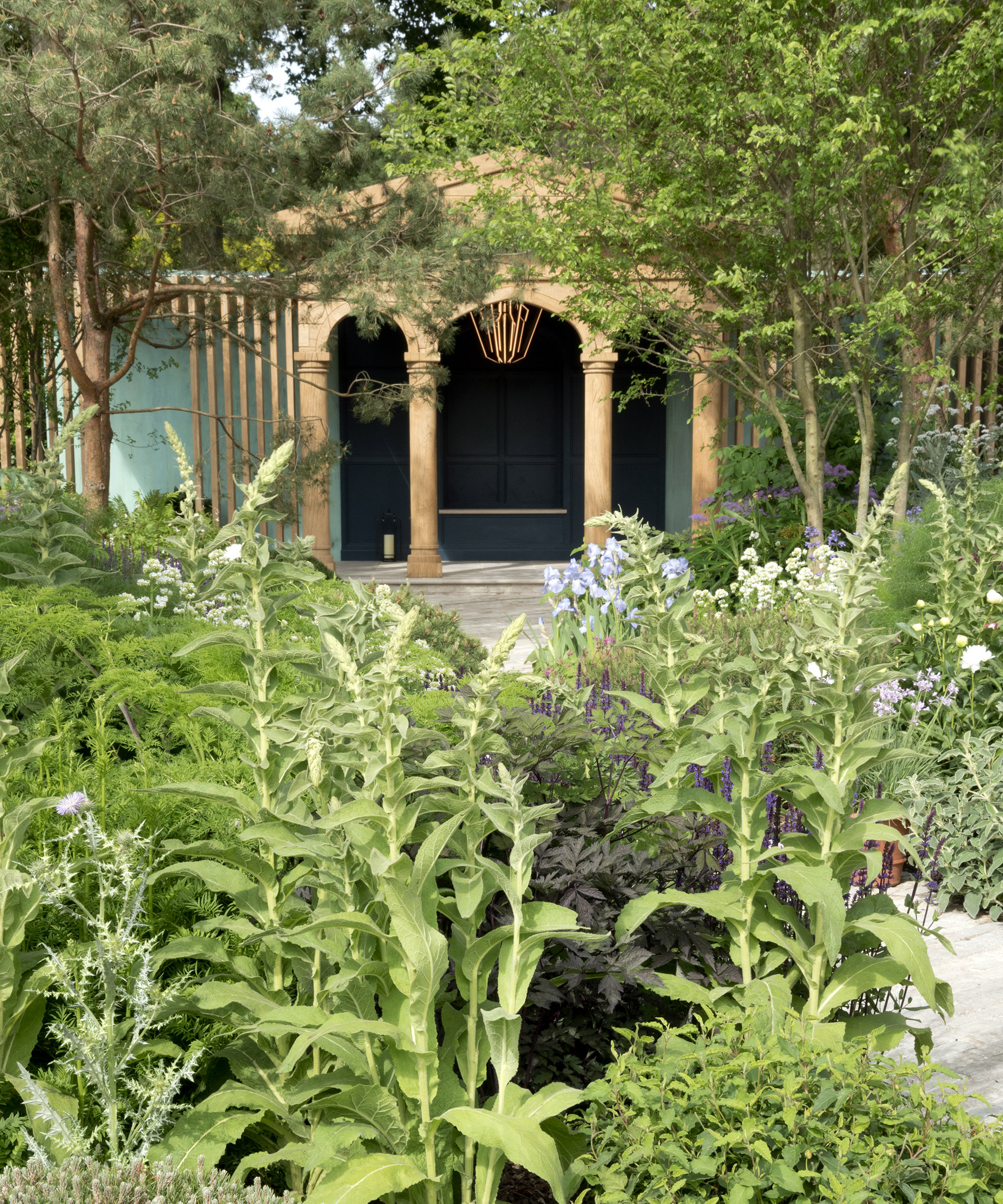 Shrubs planted under trees with a garden archway in the backyard