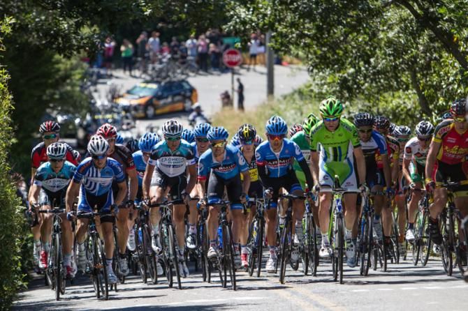 The main field attacks one of today's steep climbs.