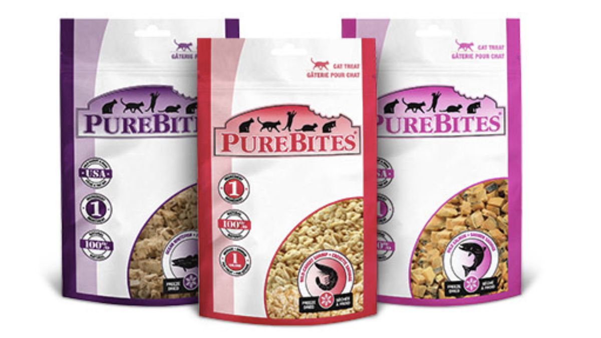 Best raw cat food 2024 for your feline friend PetsRadar