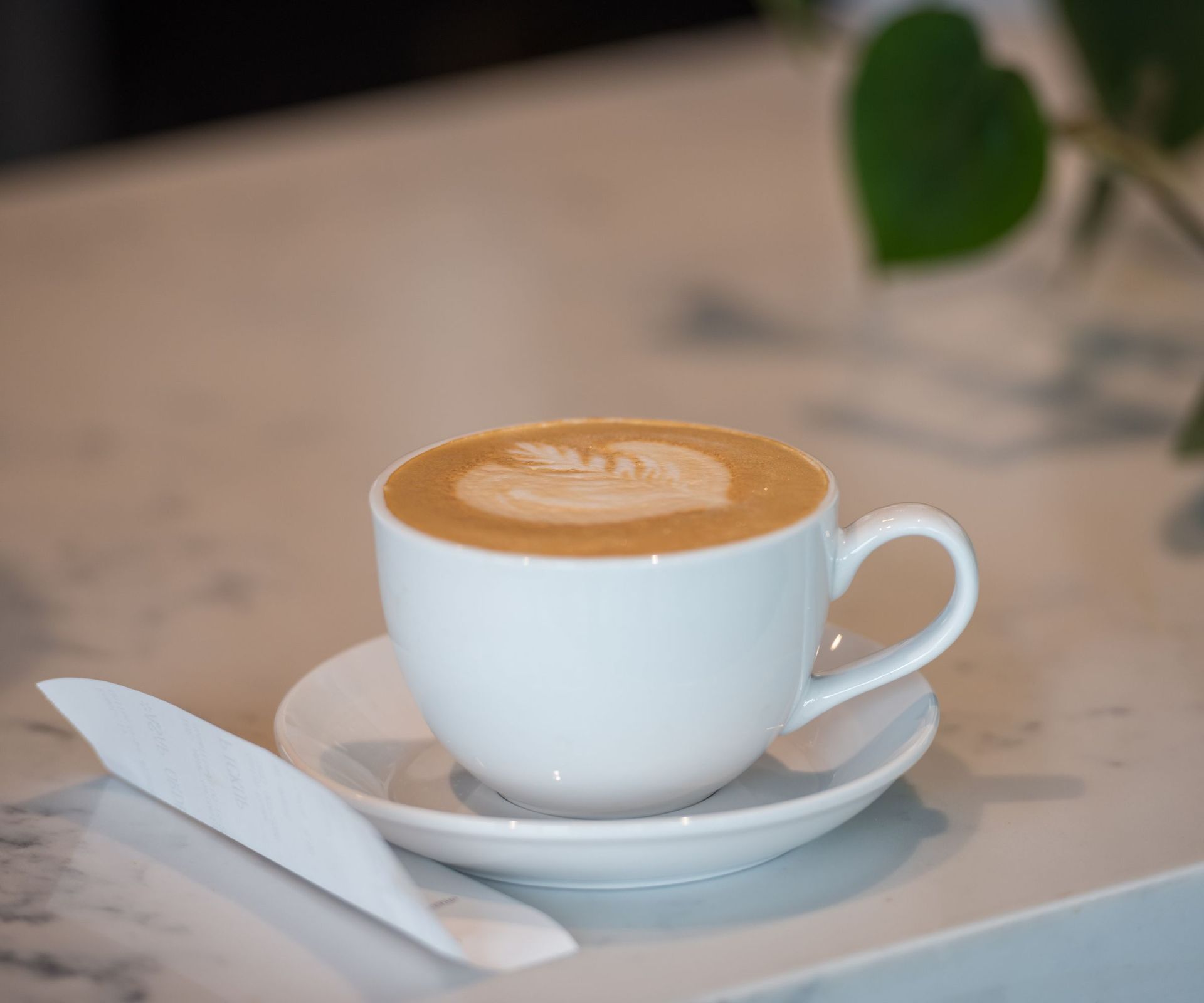 The best cappuccino cups 2024 approved by a barista Homes & Gardens