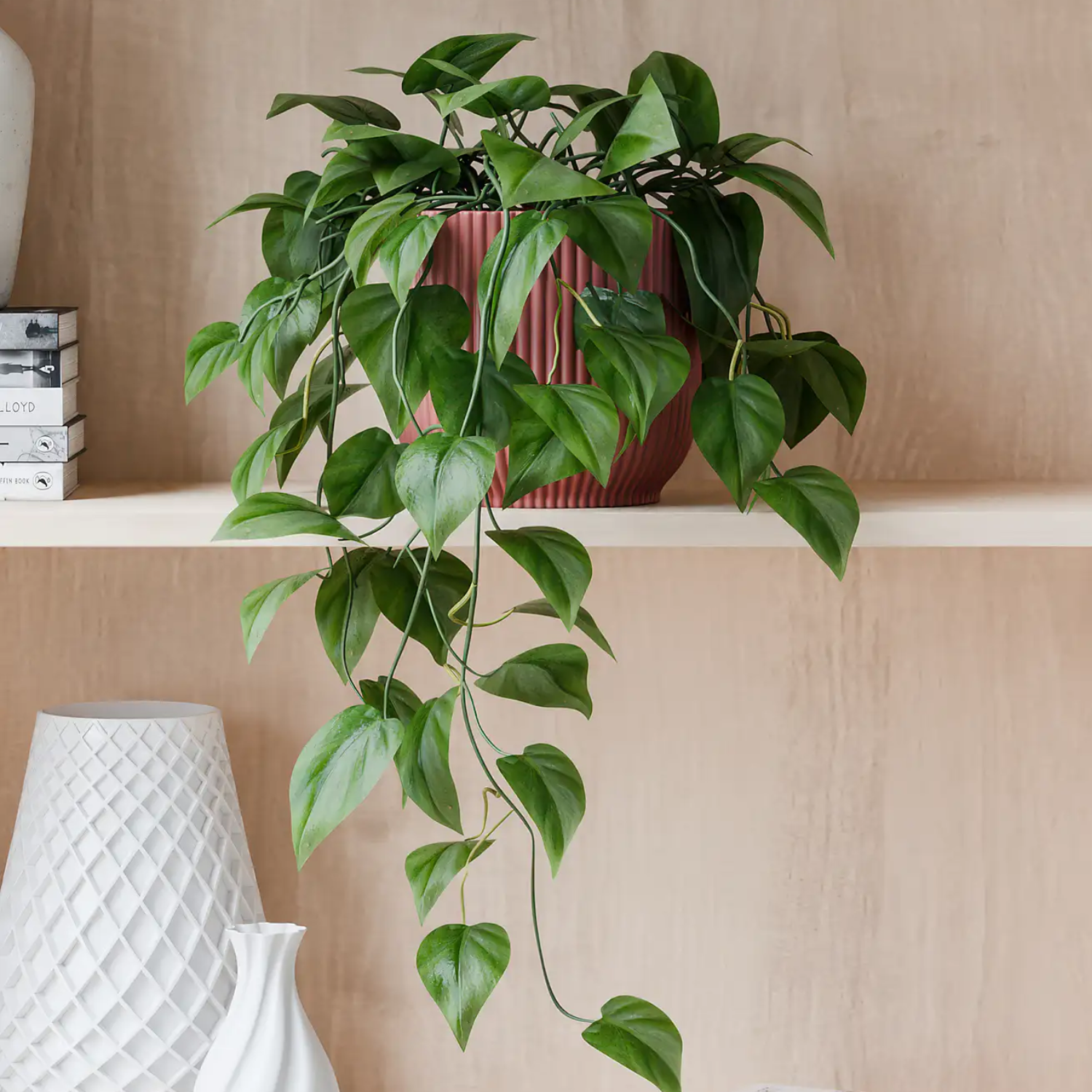 A potted trailing plant on a wood shelf beside books and ceramics