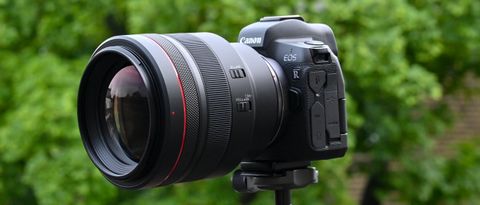 Canon RF 85mm f/1.2L USM review | TechRadar