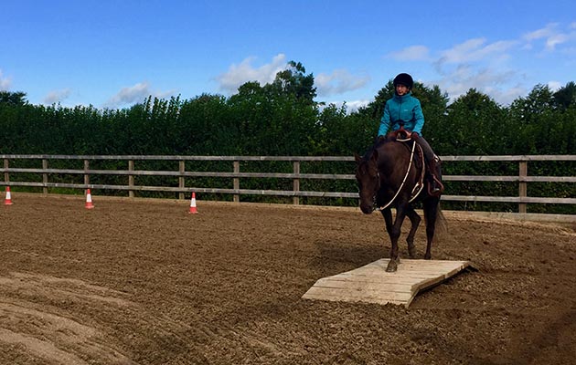 Training includes the challenges you might meet on the trail