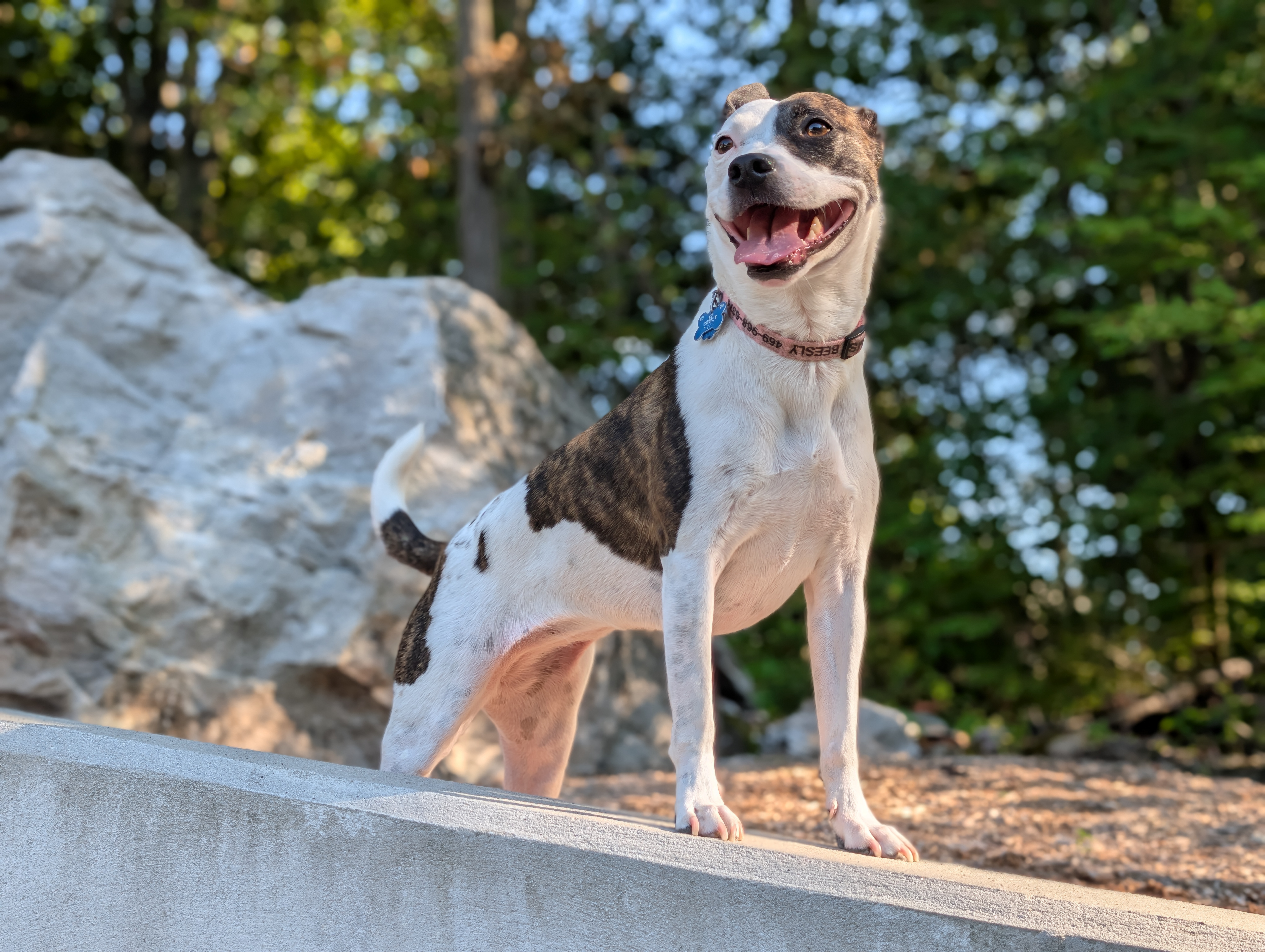 Camera image samples taken with the Google Pixel 10 Pro and Pixel 10 Pro XL