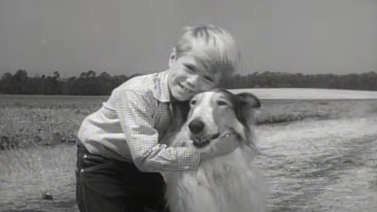 timmy and lassie tv show