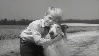 Jon Provost and Lassie on Lassie