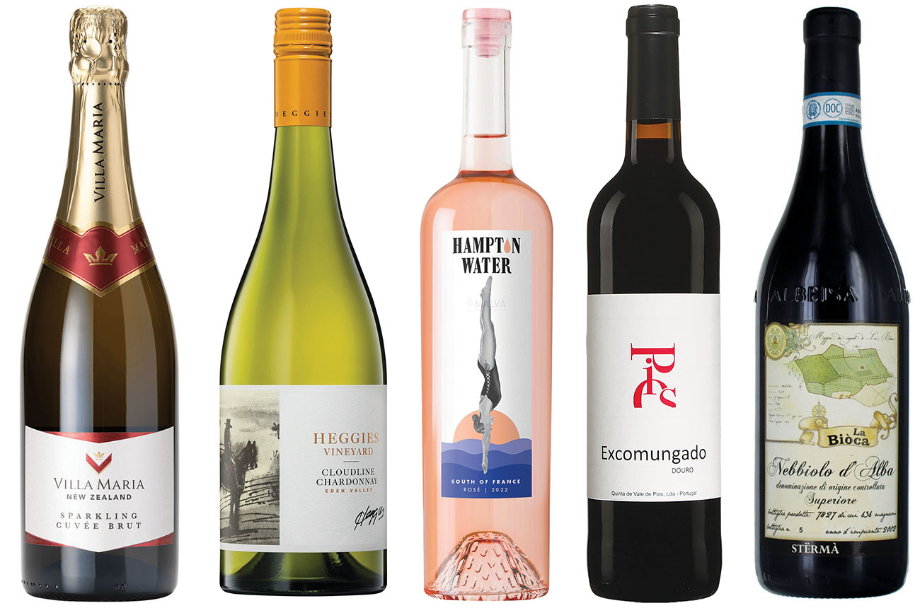 wines for the week October 2023