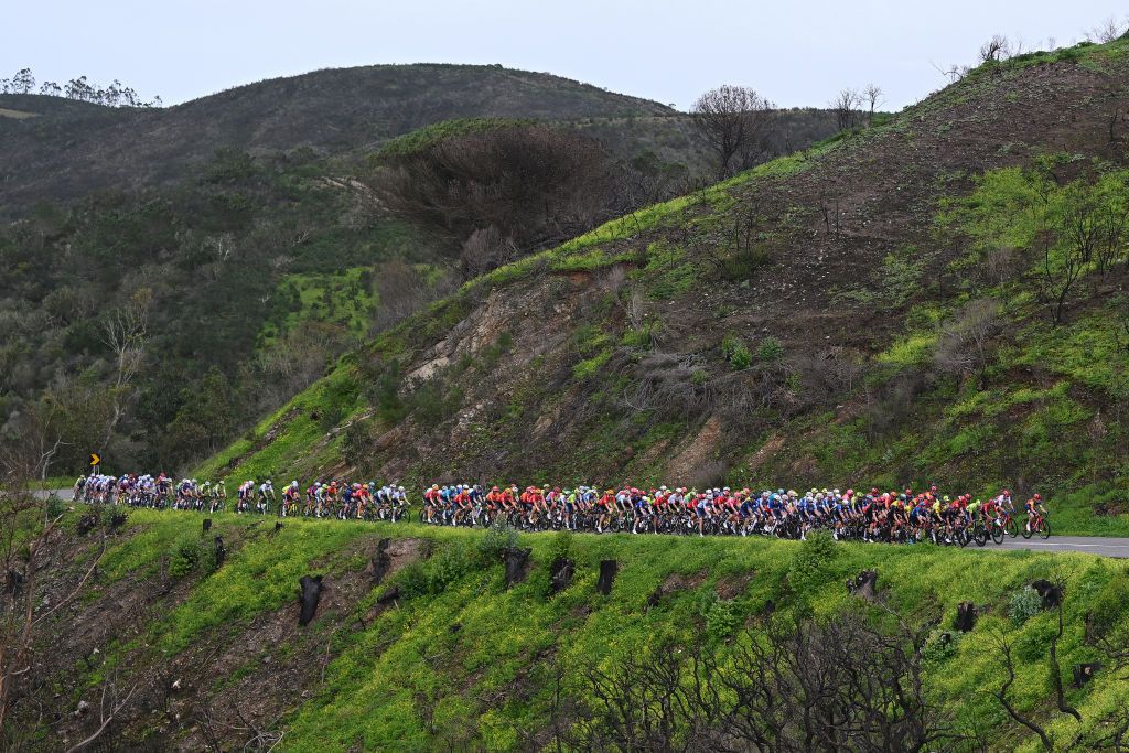 LAGOS PORTUGAL FEBRUARY 14 EDITORS NOTE Alternate crop A general view of the peloton competing during the 50th Volta ao Algarve em Bicicleta 2024 Stage 1 a 2008km stage from Portimao to Lagos on February 14 2024 in Lagos Portugal Photo by Dario BelingheriGetty Images
