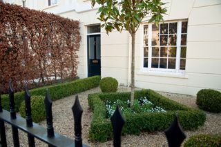smart front garden planted with evergreen shrubs