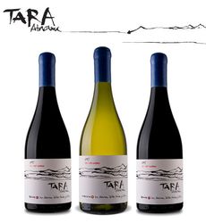 000008c07-Tara_wines.jpg