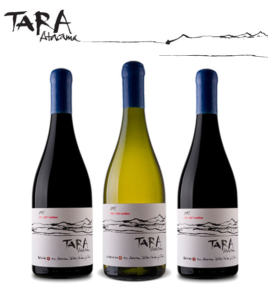 000008c07-Tara_wines.jpg
