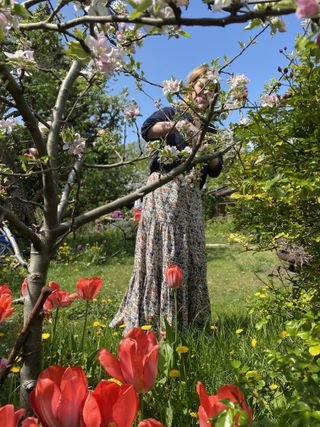 Picking fresh flowers from Marsano's garden in the outskirts of Berlin