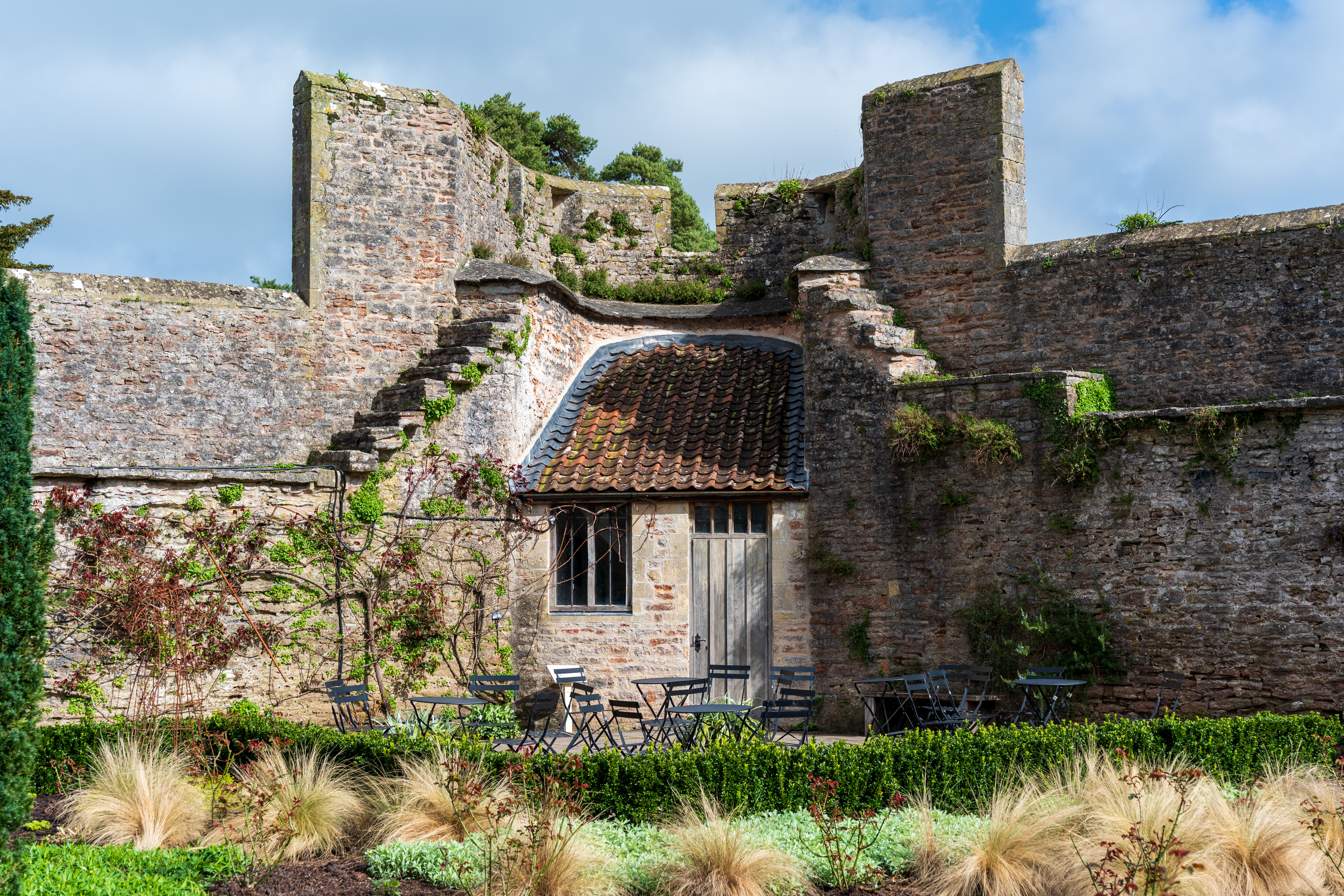 Viltrox AF 55mm f/1.8 Evo sample image