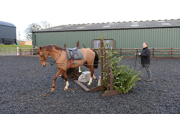 Simon Parker with a 15 Hand Breaker called Red at Sarah &amp;amp; Simon Parker's yard at Glebe Farm in Bronington near Whitcurch in Shropshire, UK on the 1st March 2016