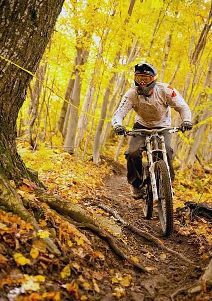 The leaves were beautiful yellow along this section of the course.