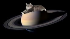 Caturn