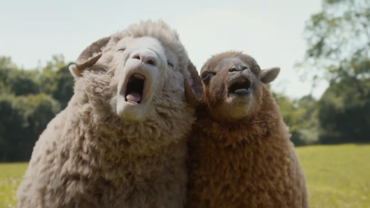 Two sheep hollering out as they run in The Sheep Detectives