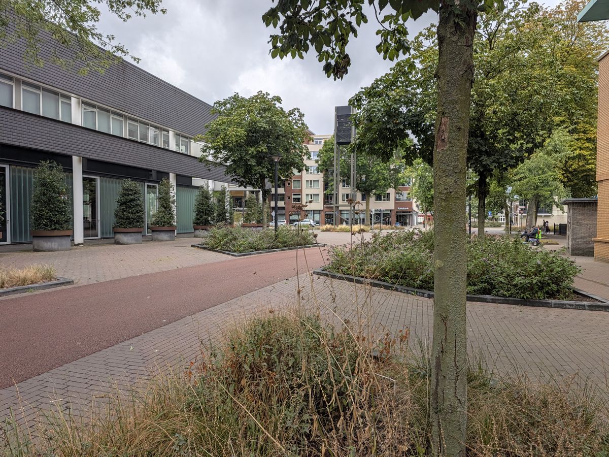 Google Pixel 11 voorbeeldfoto
