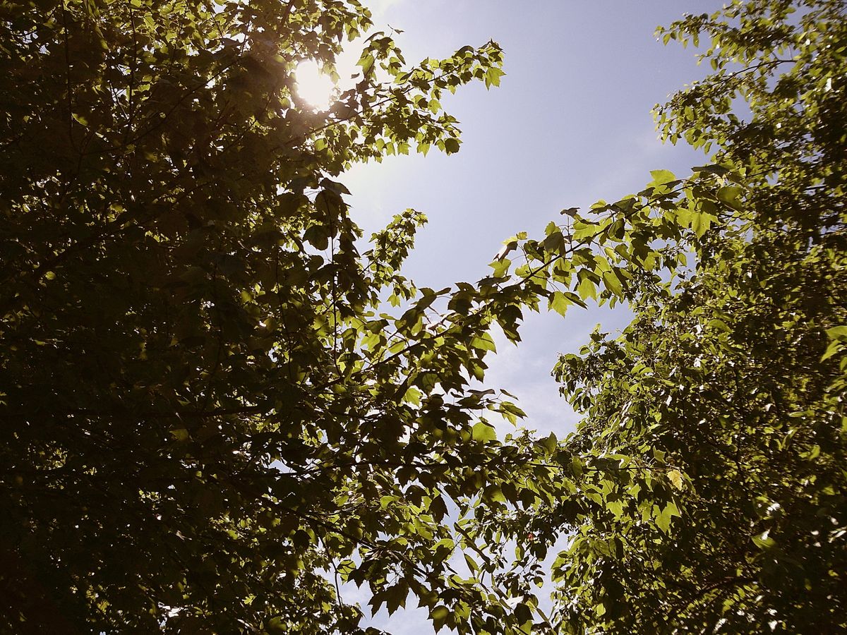 Sample image taken with the Camp Snap 2