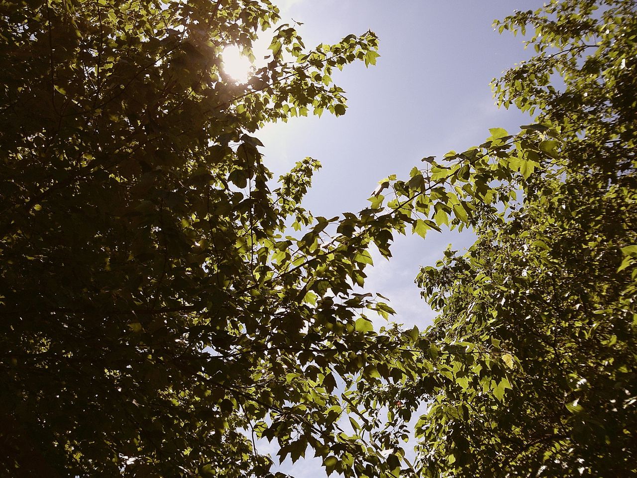 Sample image taken with the Camp Snap 2