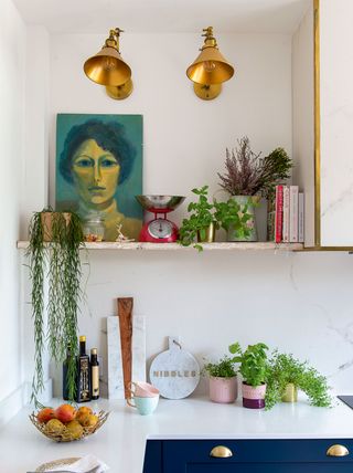 a modern kitchen with white laminate worktops, and lots of plants on the surface. January 2020: Clare Pater used her skills as an interior designer and her knack for finding a bargain to transform her family's new home