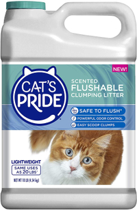 Cat's Pride Scented Flushable Clumping Litter
This lightweight litter is actually made by porous clay which the maker says has passed rigorous tests for flushability, two clumps at a time. It doesn't contain any harsh chemicals and it's free from overpowering fragrances although it does control odor.