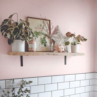Bathroom shelf with houseplants against a pink wall
