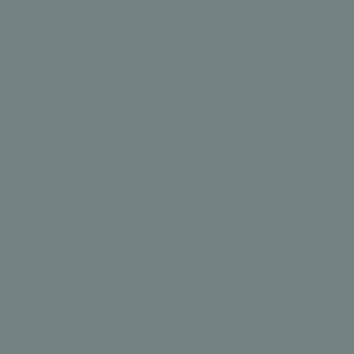 blue-gray paint swatch