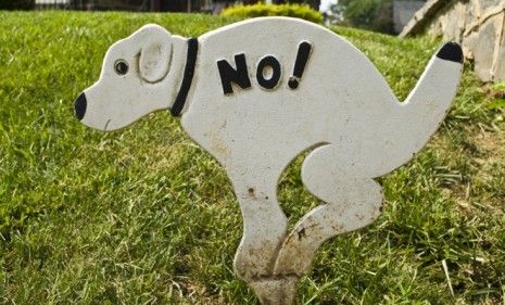 Neighbors fed up with illicit dog poop on their lawns are turning to DNA testing to find out which pet owner failed to scoop.