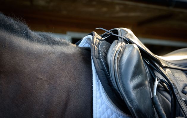 LeMieux X-Grip Twin Sided Half Pad review
