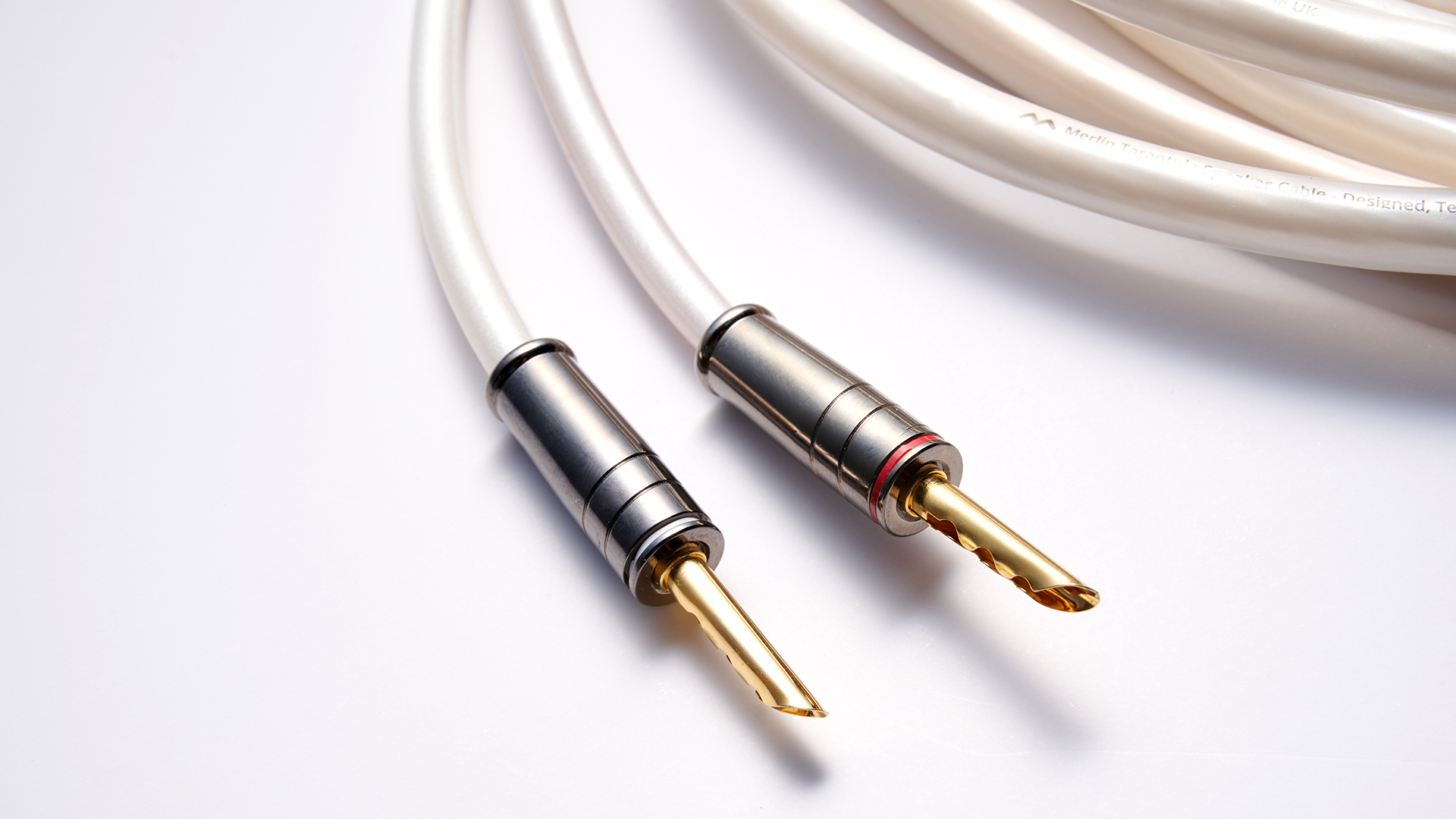 Merlin Tarantula speaker cable with banana plugs on white surface