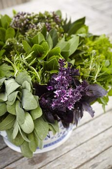 Tabletop herb planter centerpiece, containing a mix of herbs