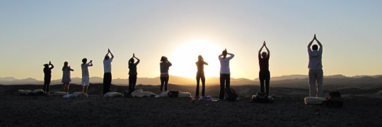 Yoga at Dahab riding club
