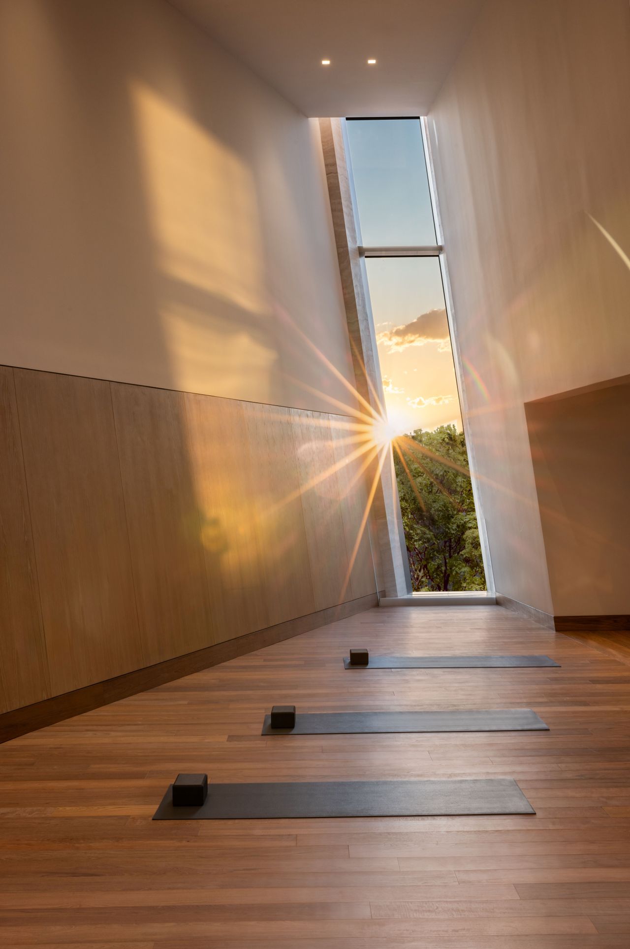 ONE HIGH LINE visual data 2