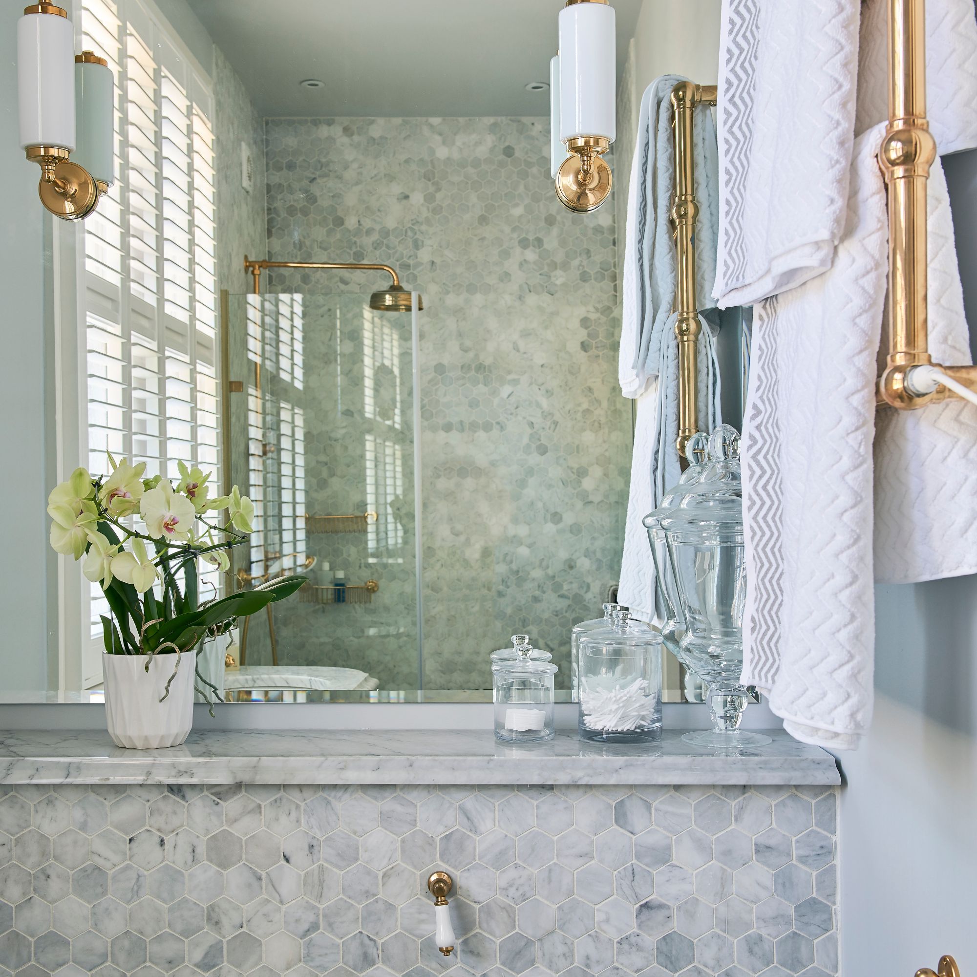 Orchid houseplant growing in bathroom