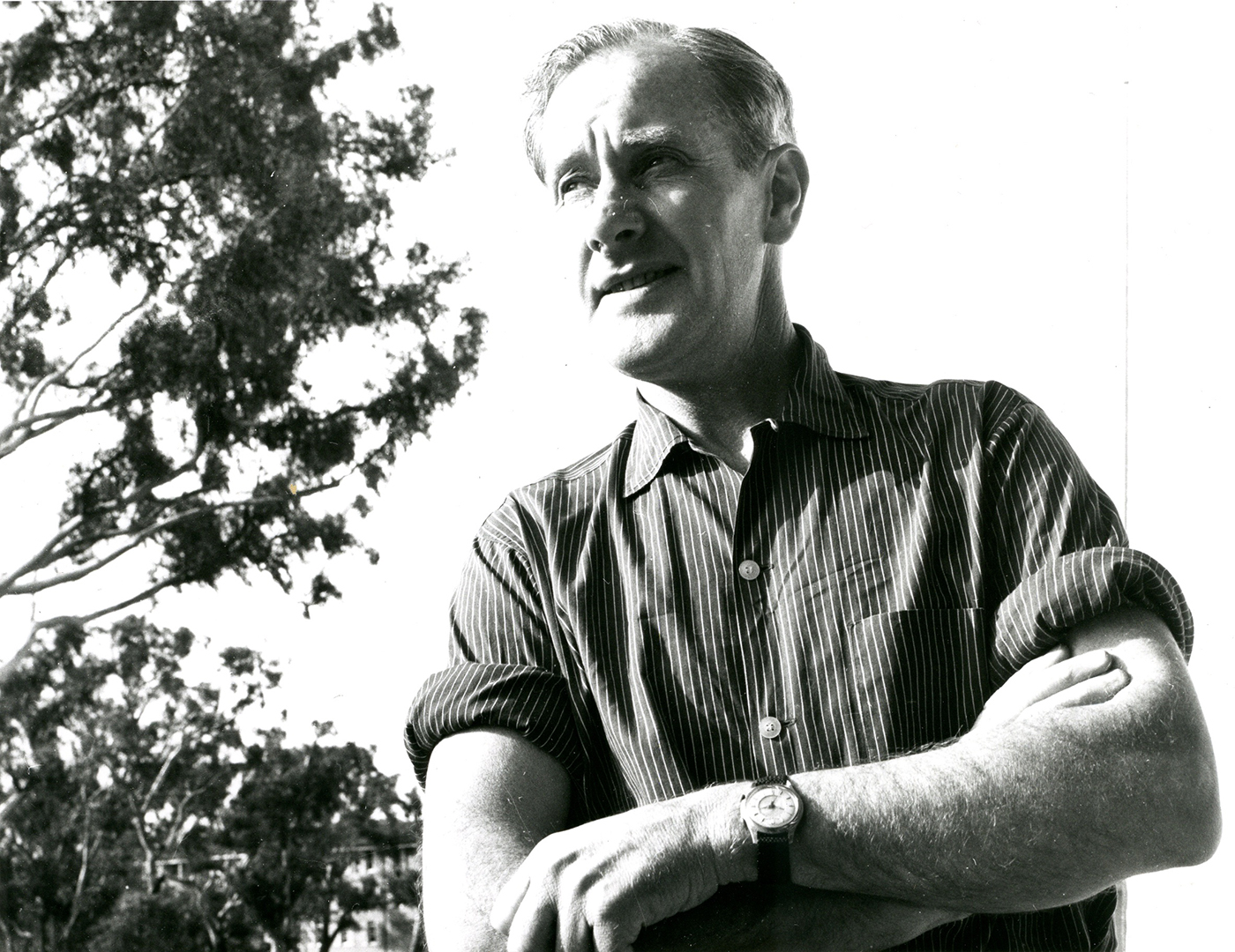 sidney_nolan_snt106_credit_nbac_anua_2.jpg