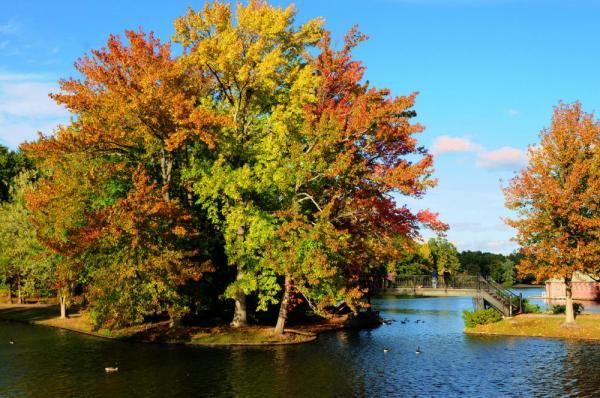 A perfect autumn day at Roger Williams Park.
