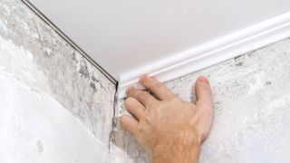 Hand holding narrow white coving against corner of bare plaster wall and ceiling