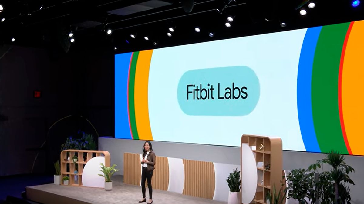 Fitbit Labs presentation at Google HEalth&#039;s The Checkup 2024 event