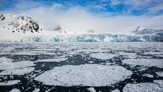 Sea ice along a glaciated coast. West coast of the Svalbard Archipelago, Norway.