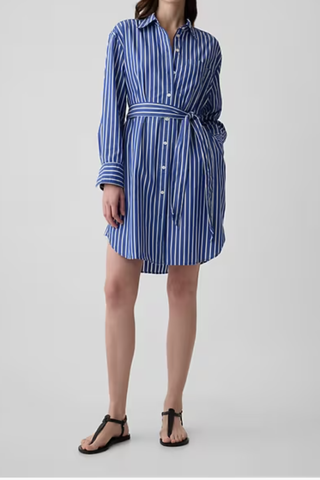 Organic Cotton Stripe Mini Shirtdress