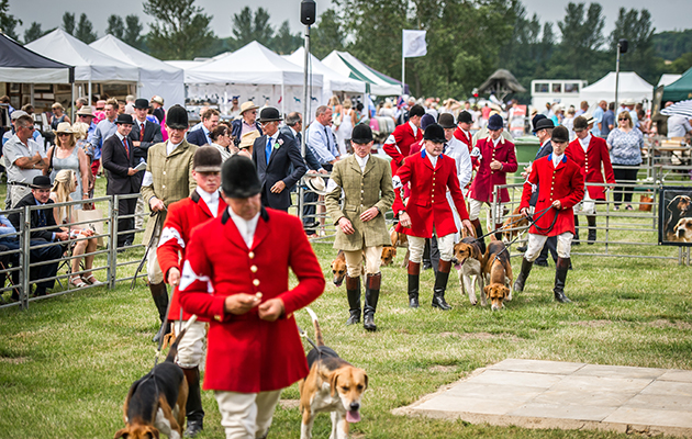 Action from the Old English type foxhounds ring where there were a large number of entries (credit www.sarahfarnsworth.co.uk)