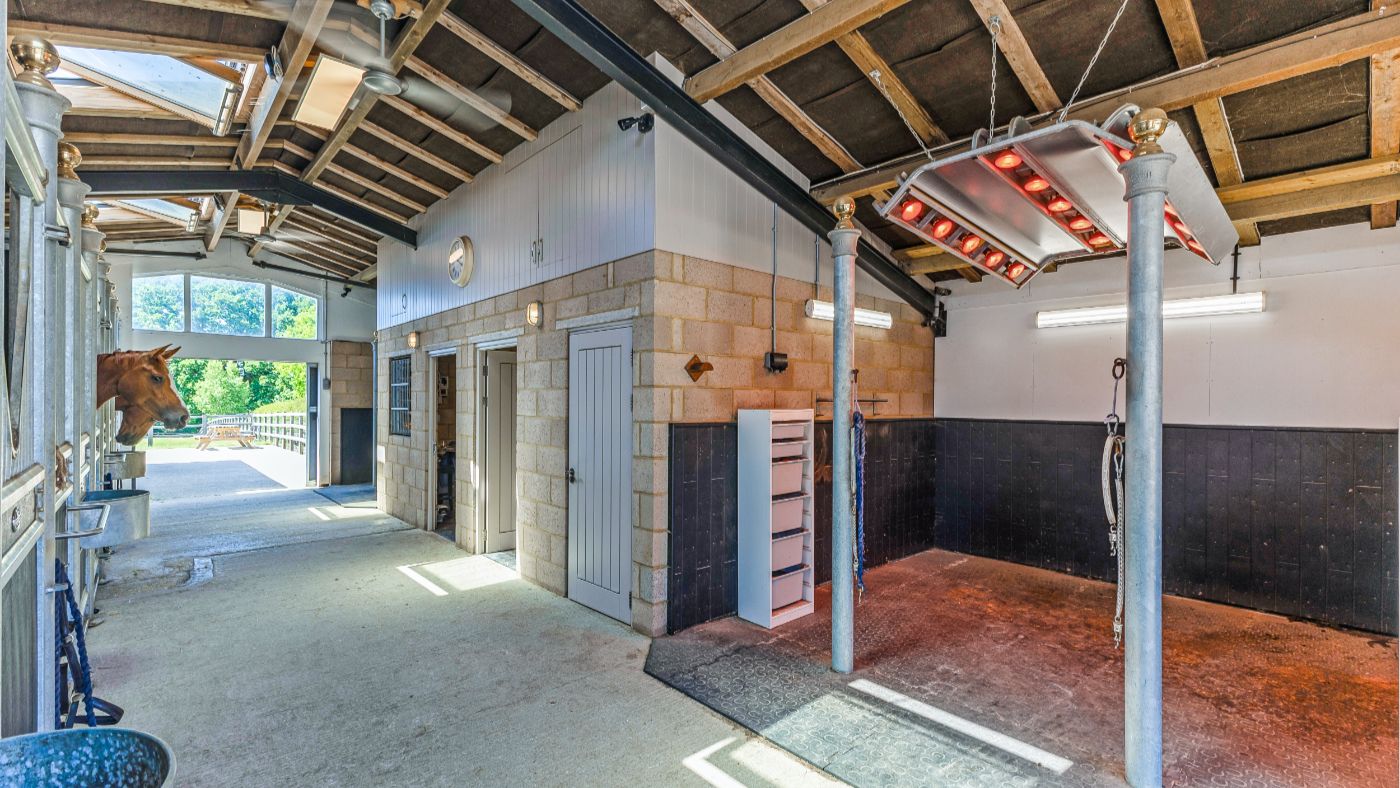 Guildenhurst Stud - Savills (18)