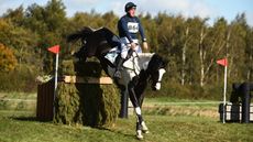 HorseNo864_Little-Downham_PN18_196345.jpg