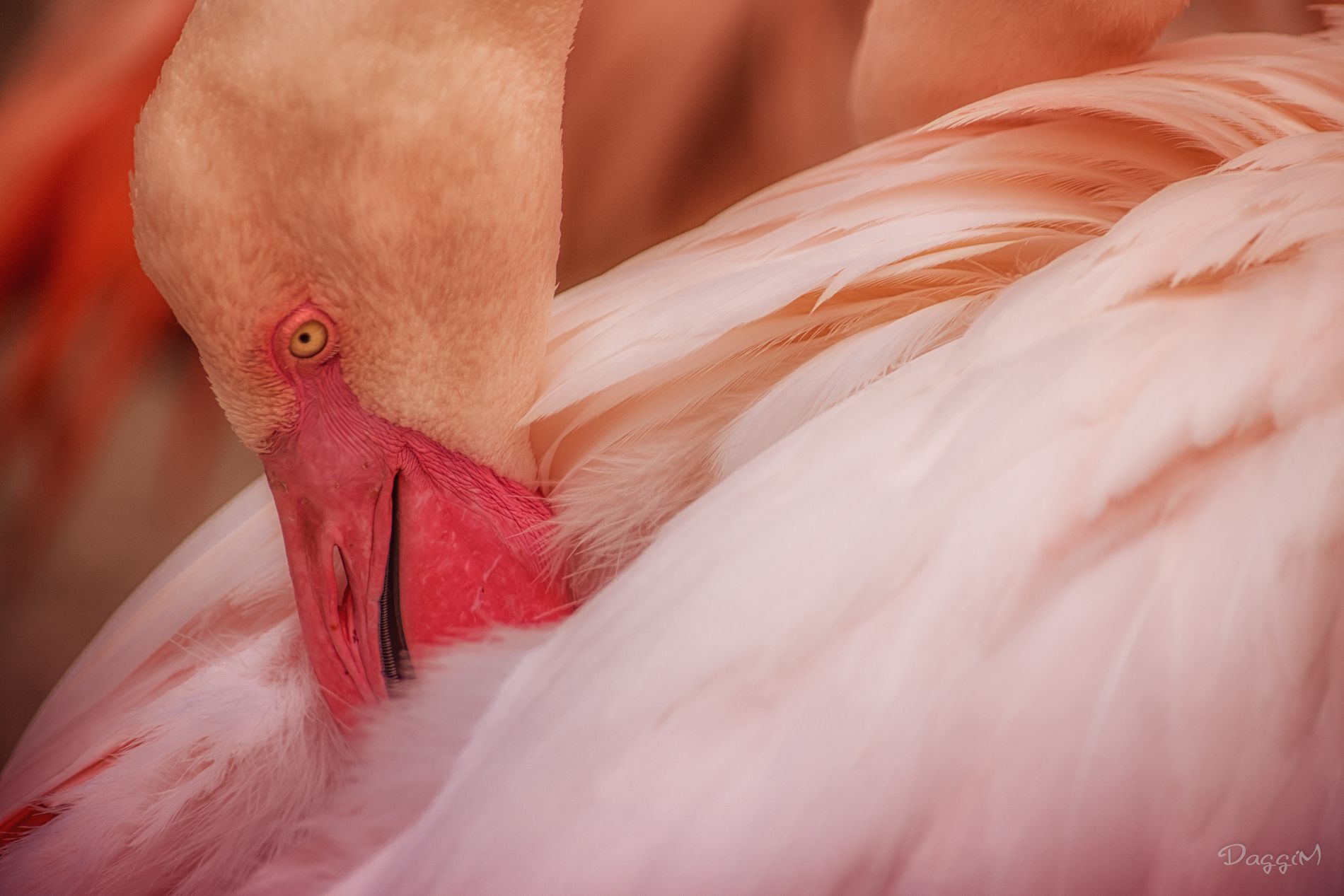 GuruShots - Nature&rsquo;s Masterpiece 2026