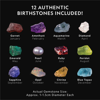 Nationa Geographic Birthstone Dig Kit$39.99$33.99 at Amazon