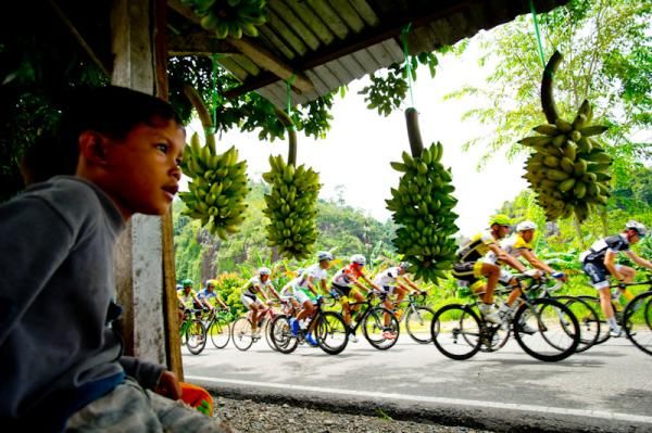 A boy in the roadside banana stand looks the race